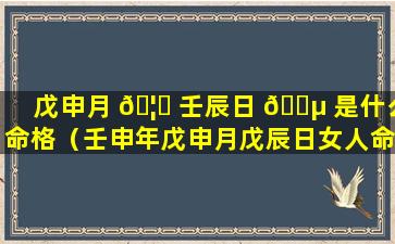 戊申月 🦊 壬辰日 🐵 是什么命格（壬申年戊申月戊辰日女人命运）